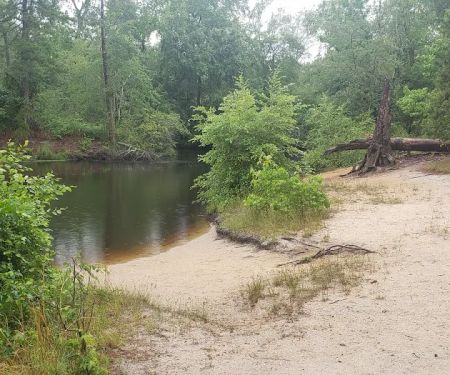 Camp Acagisca