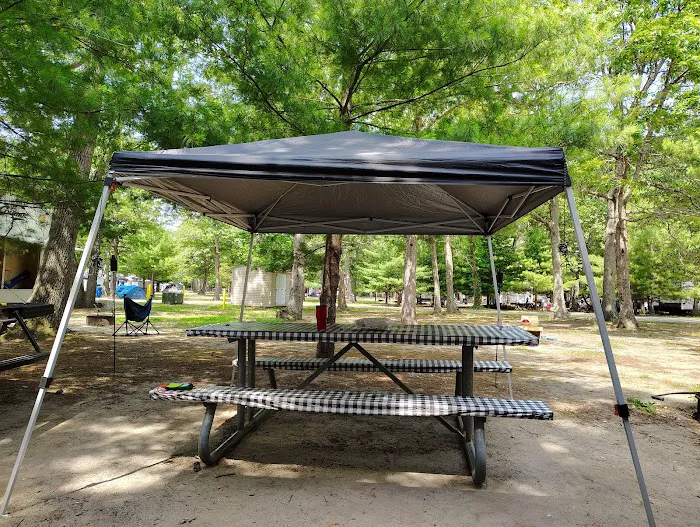Indian Island Campground Picture 5