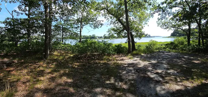 Indian Island Campground Picture 8