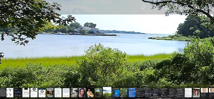 Indian Island Campground Picture 7