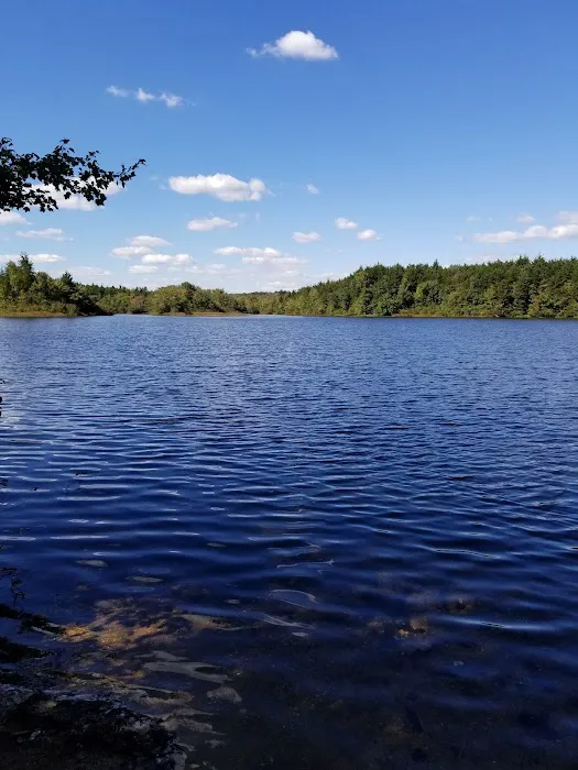 Jaggers Point Campground Picture 2