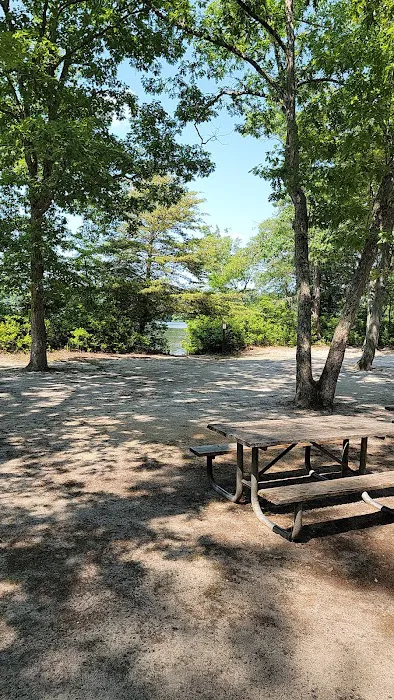 Parvin group camp parking Picture 5