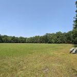 Bellplain State Forest Astronomy