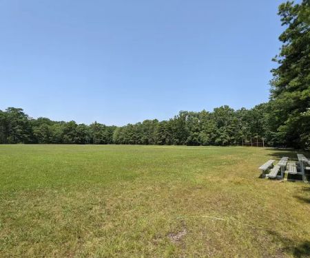 Bellplain State Forest Astronomy