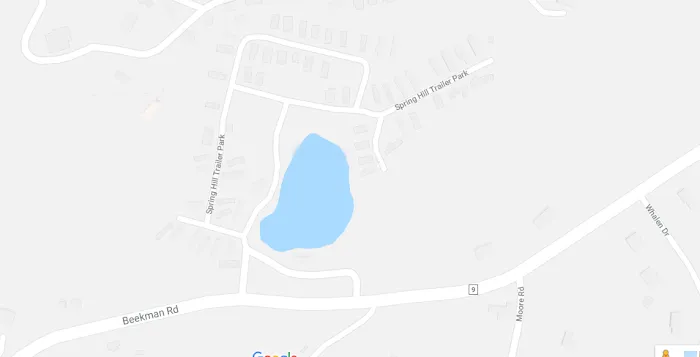 Spring Hill Park LLC Picture 4