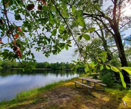 Lake Nummy