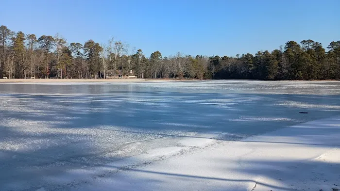 Lake Nummy Picture 6