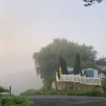 Candlewood