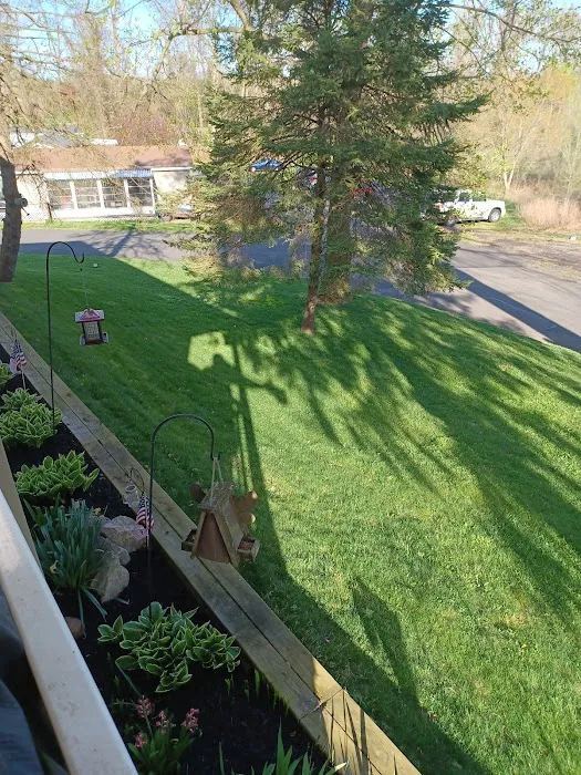 Terry's Mobile Home Park Picture 5