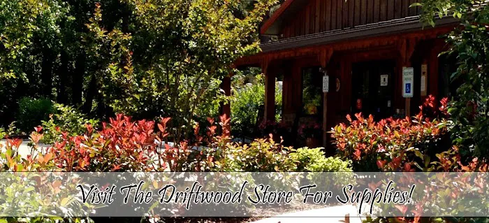 Driftwood Too! Camping Resorts Picture 5