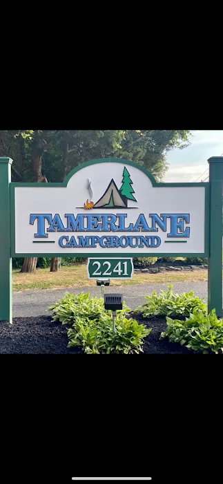 Tamerlane Campground Picture 3