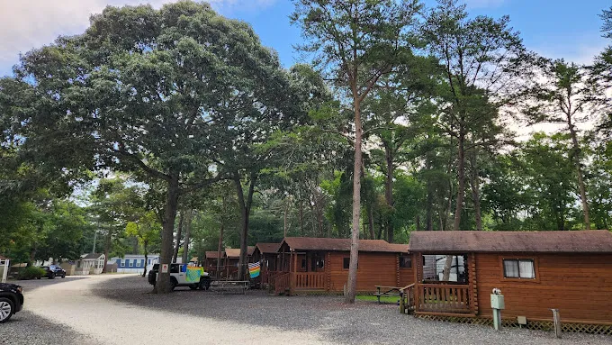 Ponderosa Campground Picture 8