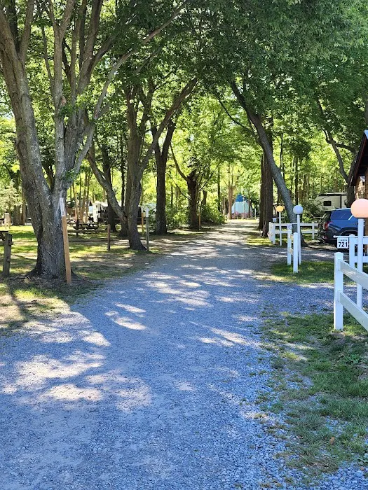 Beachcomber Camping Resort Picture 9
