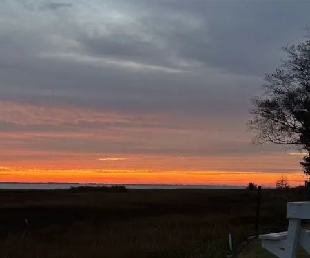 Port Delmarva