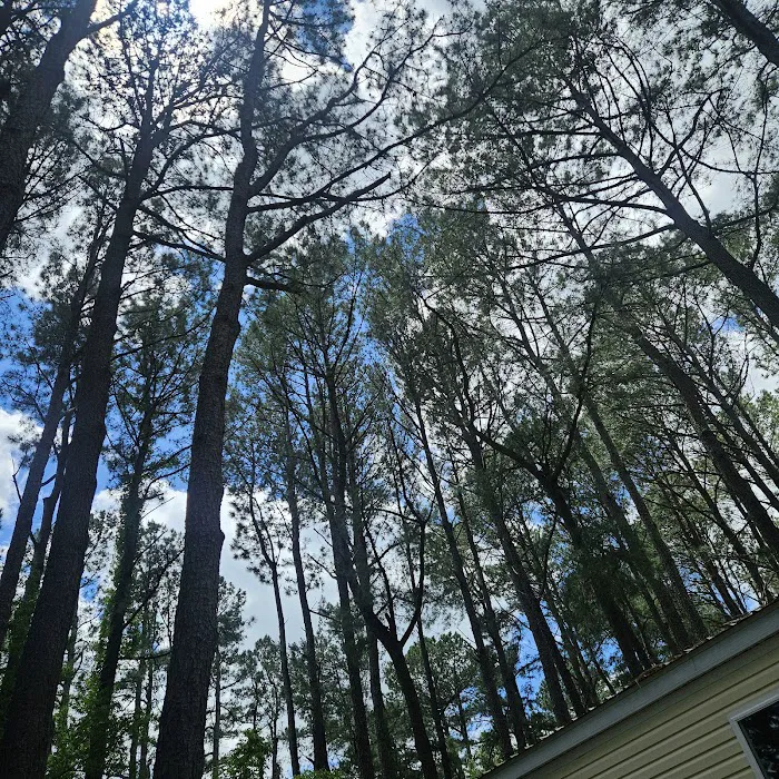 Tall Pines Campground Resort Picture 6