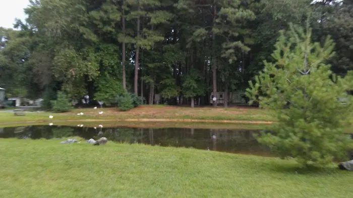 Brumbley's Family Park Campground Picture 6
