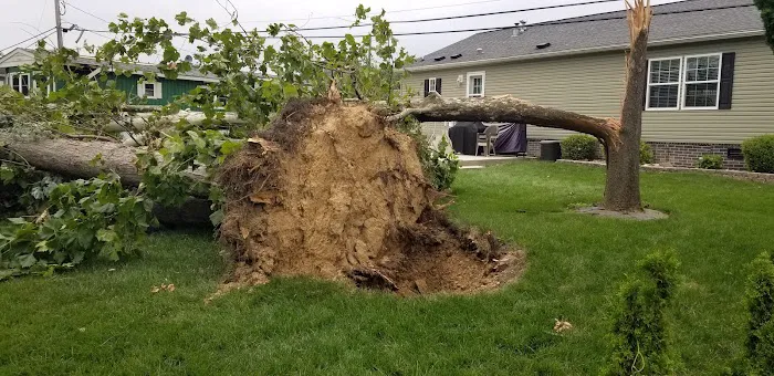 Penn Valley Terrace Picture 5