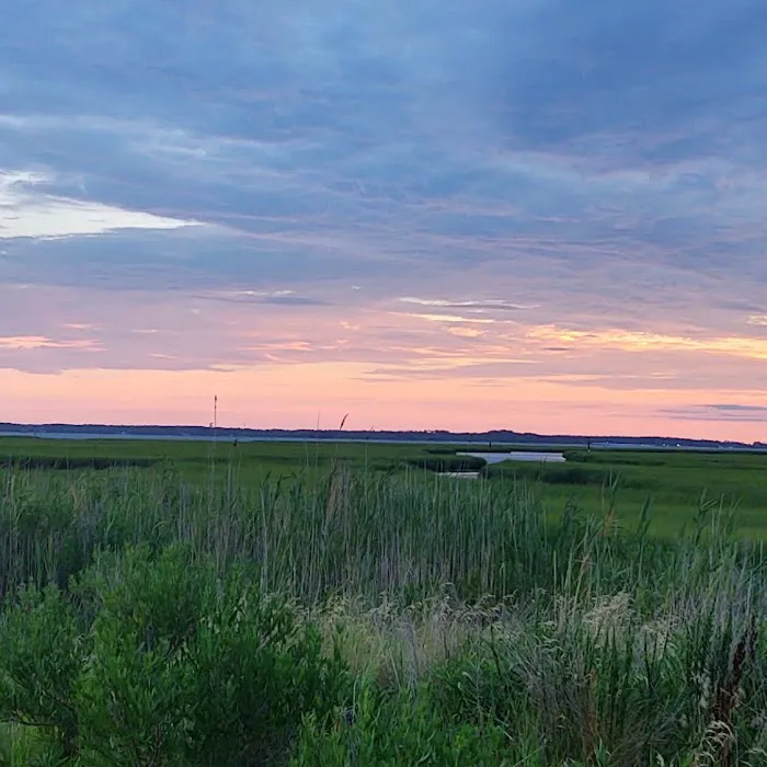 Delaware Seashore State Park South Campground Picture 5