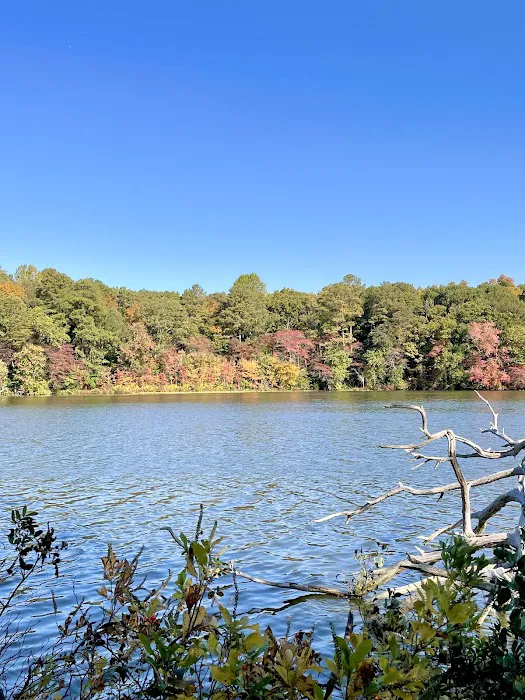 Killens Pond State Park Campground Entrance Picture 7