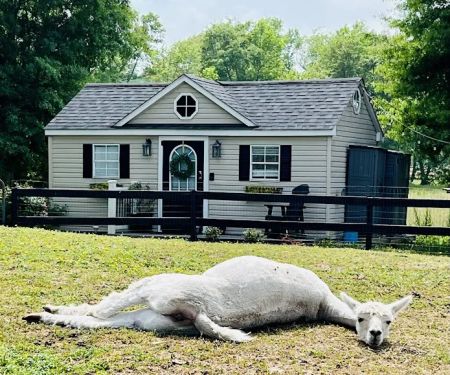 Cowtown Cabins