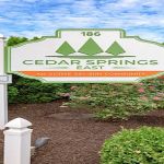 Cedar Springs
