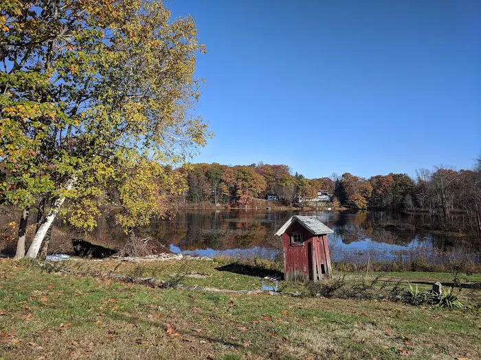 Lakeside Picture 3