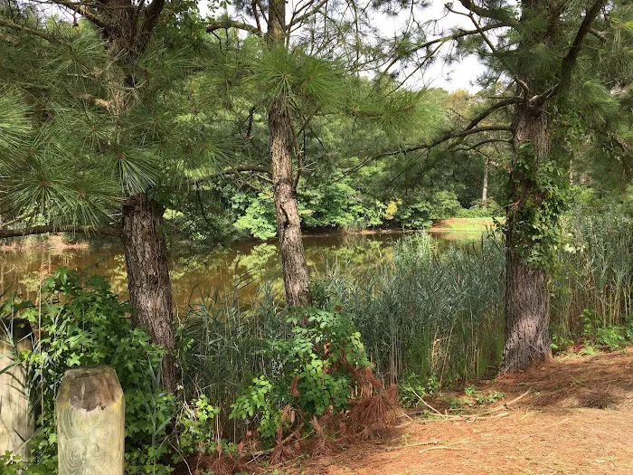 Island Resort Campground Picture 8