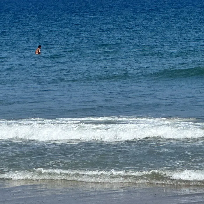 Assateague State Park Youth Group Campsites Picture 6