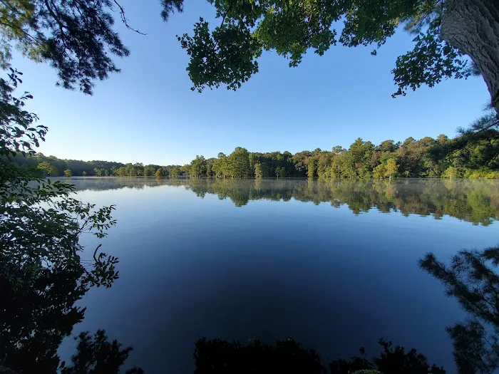 Trap Pond Picture 2
