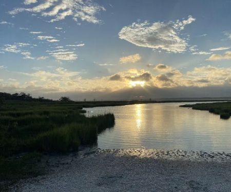 Assateague National Seashore Campground - Spot Bayside B33