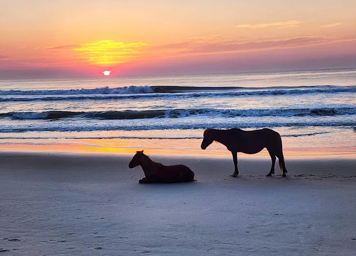 Assateague National Seashore Campground - Spot Bayside B33 Picture 4