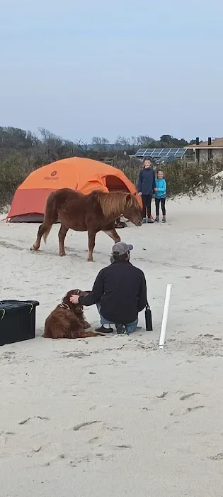 Oceanside Group Campground Picture 7