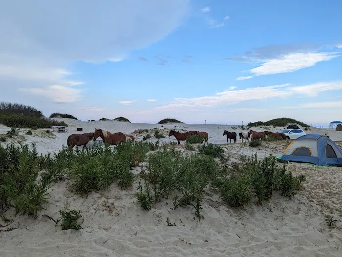 Oceanside Drive-In Campground Picture 8