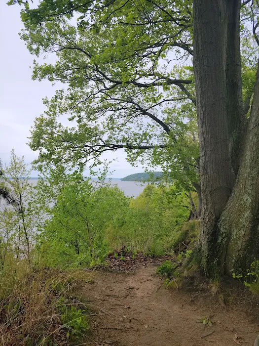 Elk Neck State Park Campground Picture 5