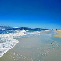 Oceanside Walk-In Campground ico