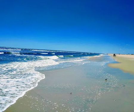Oceanside Walk-In Campground
