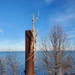 Sandy Point State Park Youth Group Camp Ground