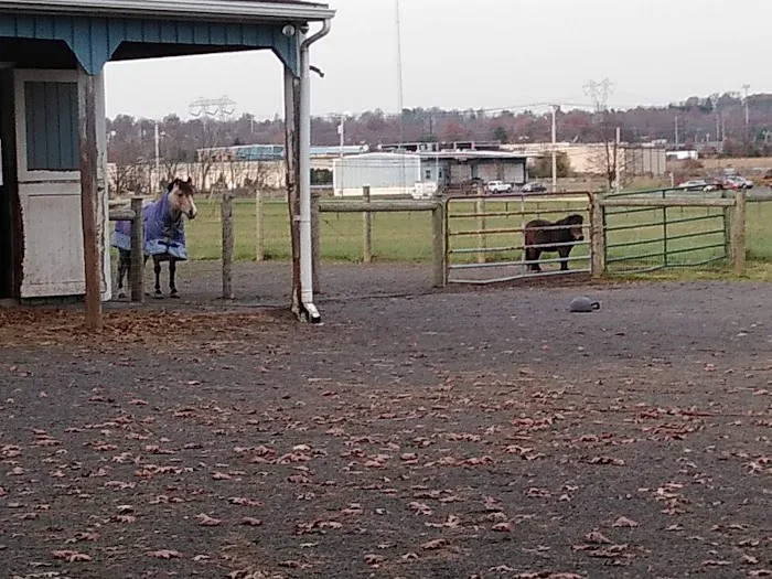 Oak Grove Park & Sales Picture 9