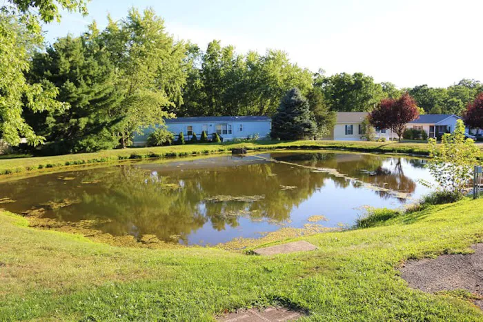 ABC Home Sales - Green Hill Picture 9