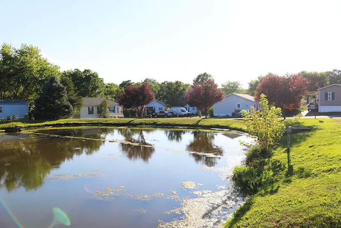 ABC Home Sales - Green Hill Picture 8