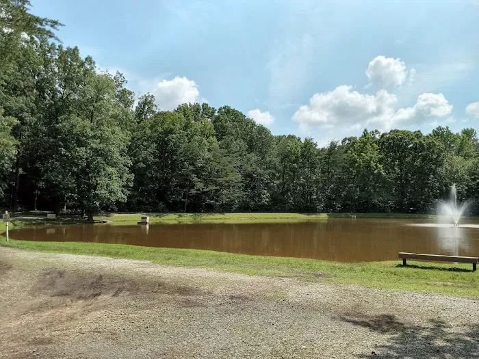 Woodlands Camping Resort Picture 4