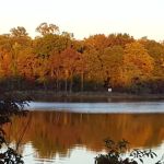 Skipper's Point Campground