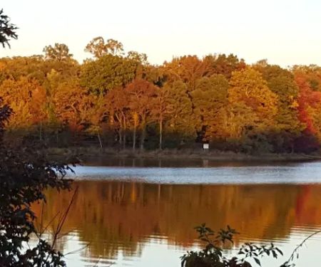 Skipper's Point Campground