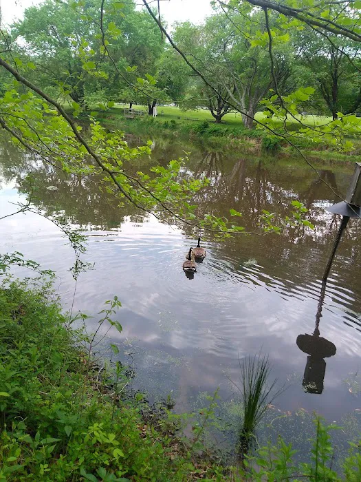 Susquehanna State Park Campground Picture 9
