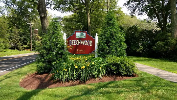 Beechwood Picture 2