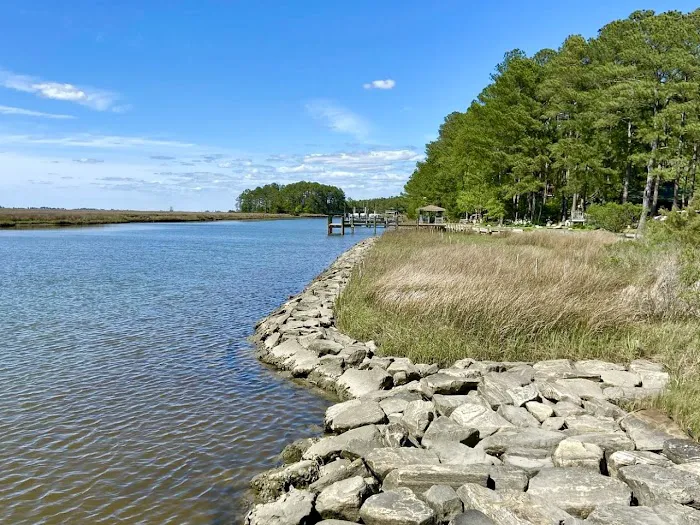 Janes Island State Park Picture 5