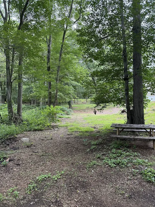 Singh Meadows Picture 2