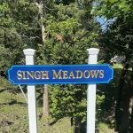 Singh Meadows