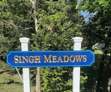 Singh Meadows