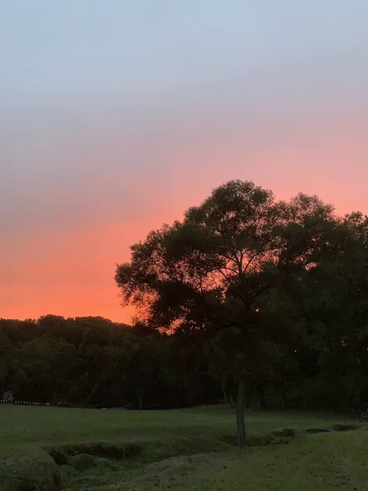 Shiloh Valley Camping Picture 2